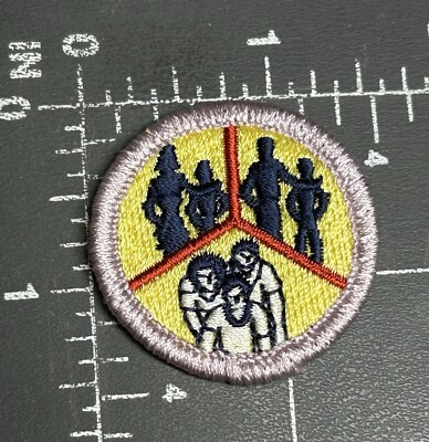 Boy Scouts of America BSA B.S.A. Scouting Familienleben Verdienstabzeichen Patch