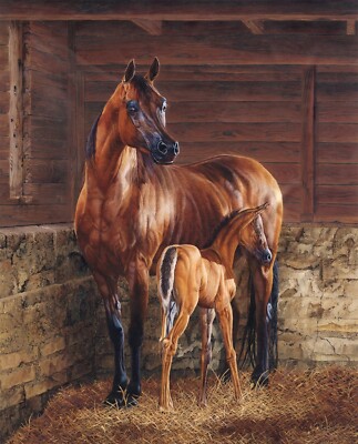 And God Made a Horse ~ David Textiles Fabric Panel ~ Horse and Foal Quilt Panel