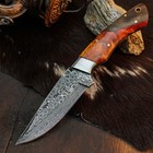 8.2" Clip Point Knife Damascus Steel Hunting EDC Full Tang Blade Resin Handle — photo 2