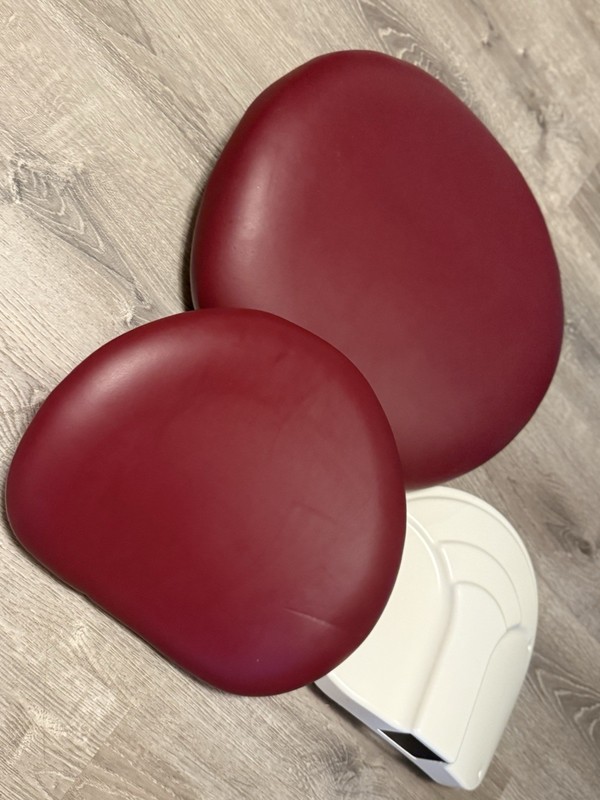 Belmont 090 Dental Dr Stool Upholstery/ Open Box Demo/ Ultraleather (Chianti)