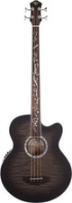 Dragonfly 4 Fretless - Acoustic Bass with Smoke Burst Finish