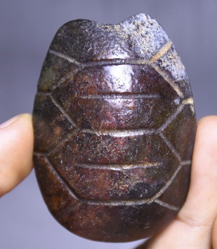 5.5CM China Hongshan Culture Old Jade Fengshui Turtle Shell Amulet ...