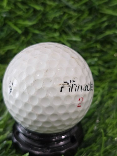 *You Pick* Golf Course Logo Balls and More - Picture 75 of 81