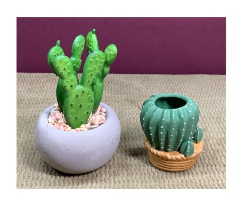 2 DIFFERENT CACTUS PLANTS IN THEIR OWN LITTLE PLANTERS DECOR - Picture 3 of 6
