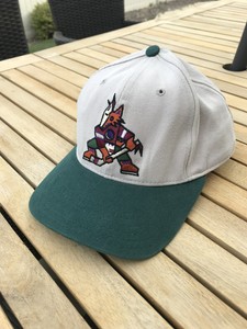 coyotes kachina logo