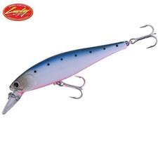 LUCKY CRAFT Saltwater Jerkbait Lure SW POINTER 100S Super Glow Cherry Dine