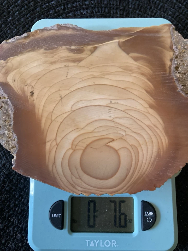 Bruneau Jaspe Corte Extremo Áspero 7.6 Onzas Cantidad Insana de Orbing - Extremadamente Raro Foto 4 de 4