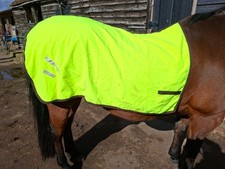 equestrian Reflective exercise sheet