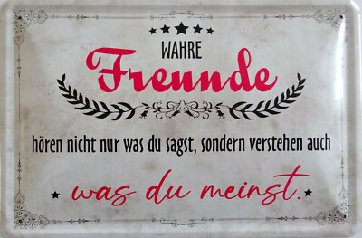 Blechschild Schild 20x30 cm - wahre Freunde verstehen was du meinst Freundschaft