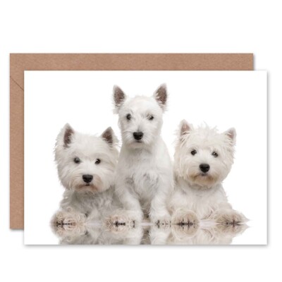 Süße leere Grußkarte West Highland Westie Welpe Hunde mit Umschlag