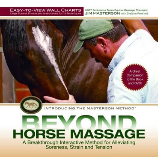 Jim Masterton Beyond Horse Massage Wall Chart (Poster)
