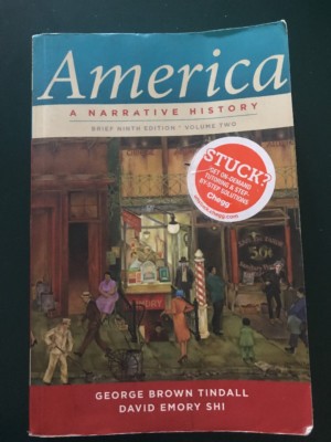 America A Narrative History Volume Two, Paperback, George Tindall