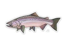 Chinook Salmon Fish Decal 5.5" Surface Mount Casey Underwood Logo Sticker