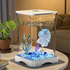 Aquarium mit Eingebautem Bodenlicht, Mini Tischaquarium Set für Tischdekoration