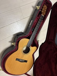 Ayers Guitar | eBay