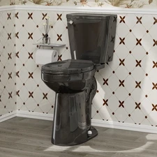 21" Tall Black Elongated Two Piece Toilets for Seniors Soft-Close Seat 1.28GPF