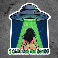 Pinup Girl Ufo Abduction Sticker Vinyl Decal I Came For The Boobs Funny