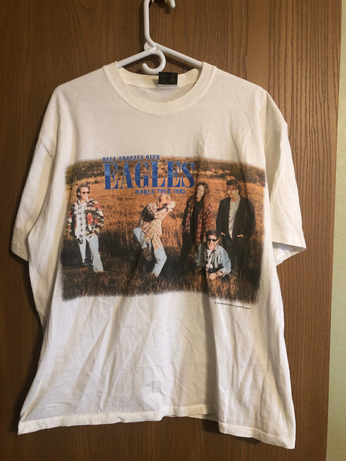 90年代 EAGLES イーグルス HELL FREEZE OVER TOUR 1995 両面プリント バンドTシャツ バンT メンズL ヴィンテージ /evb001812