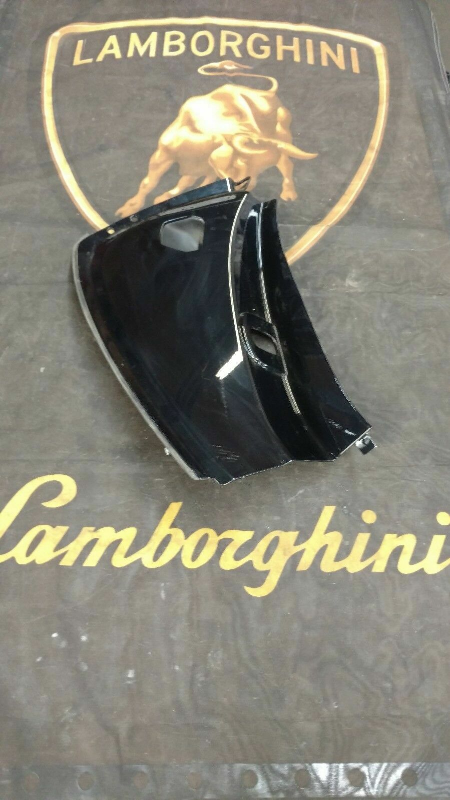 LAMBORGHINI HURACAN PASSENGER RIGHT SIDE QUARTER PANEL DOOR JAM PANEL TRIM OEM 
