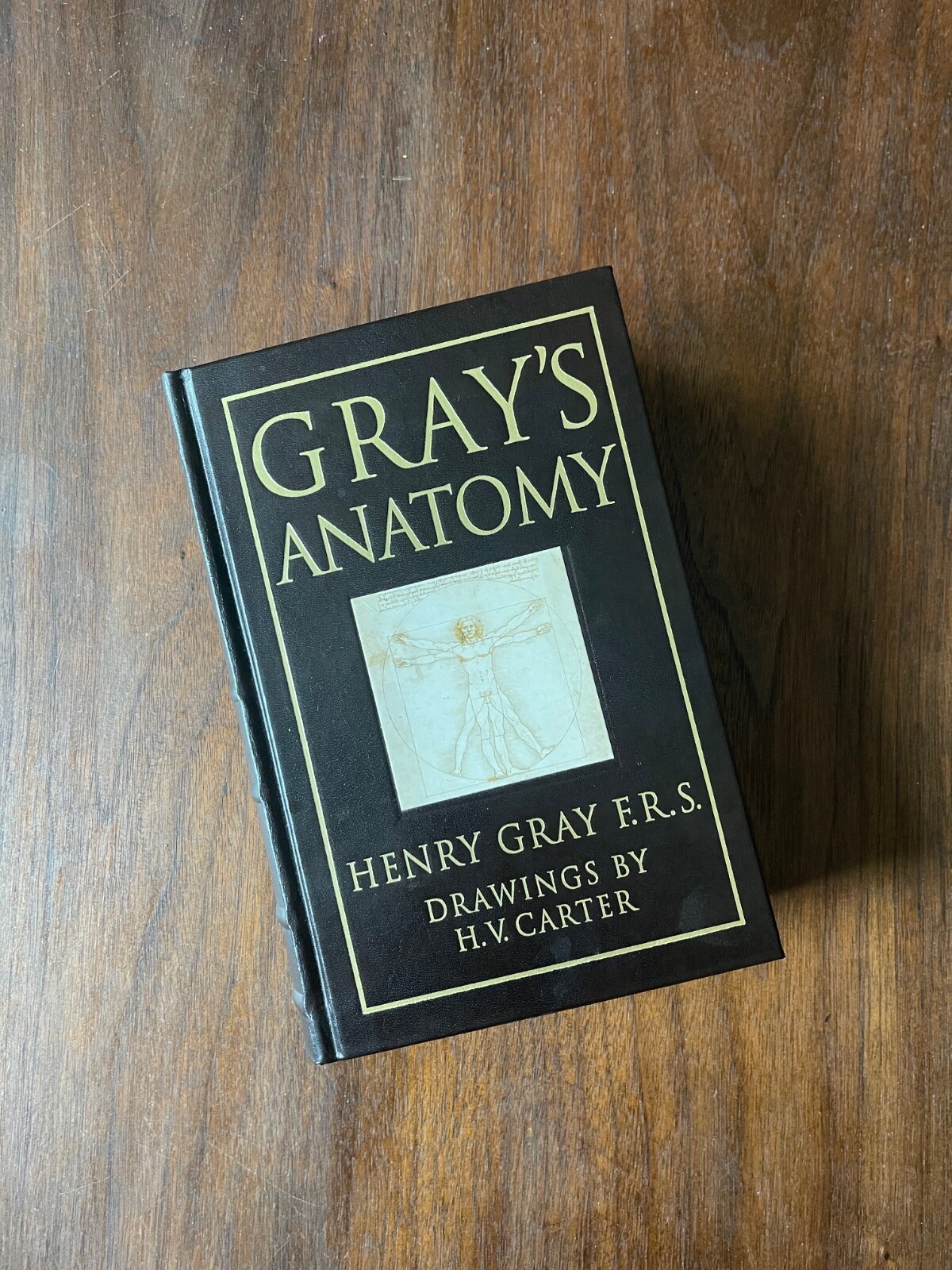 Gray's Anatomy Deluxe Collectible Leatherbound Edition by Henry Gray