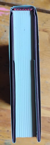 Brothels Bordellos & Bad Girls Prostitution in Colorado Jan Mackell HC Signed - Picture 6 of 7
