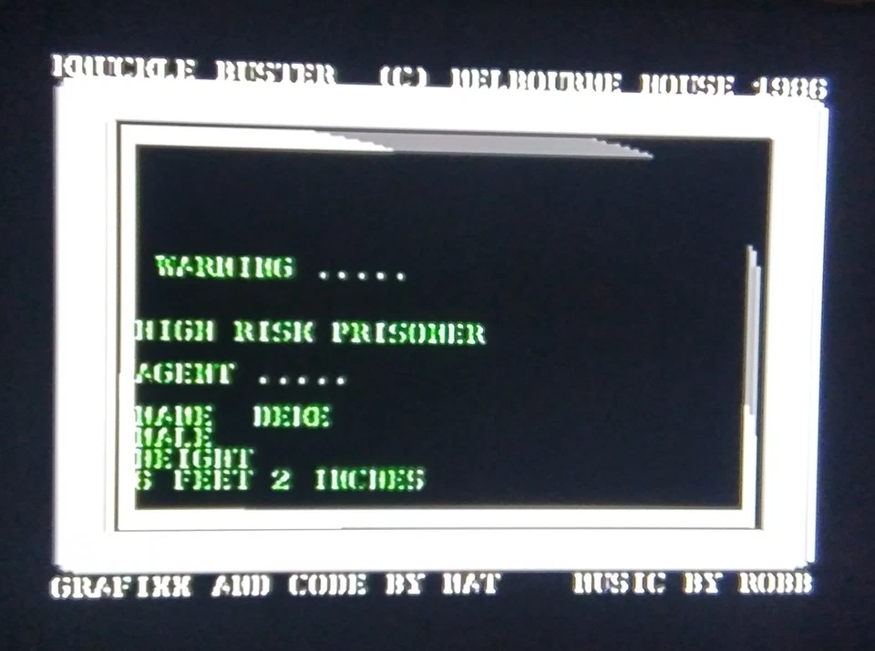 KNUCKLE BUSTERS - Ricochet version - Commodore 64 C64 C128 - TESTED See photos - Image 2 of 4