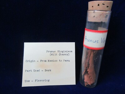 RARE ANTIQUE VINTAGE GLASS APOTHECARY BOTTLE DRUG PRUNUS VIRGINIANA CONTENTS