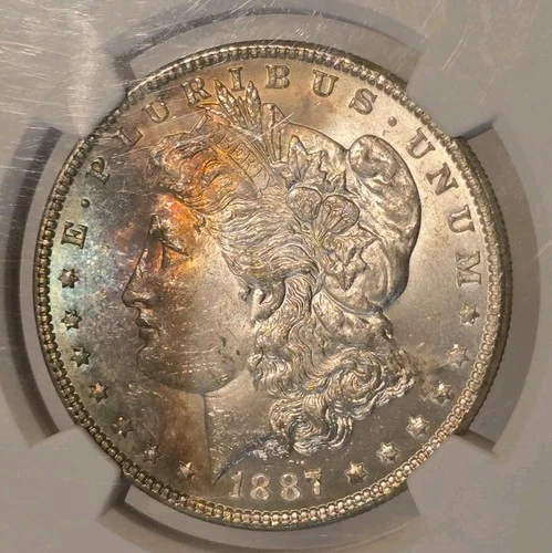 1887 Morgan Silver Dollar NGC MS64 TONED!