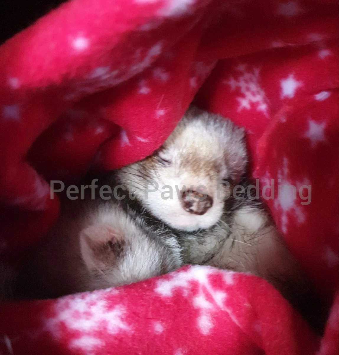 Ferret bedding material cheap