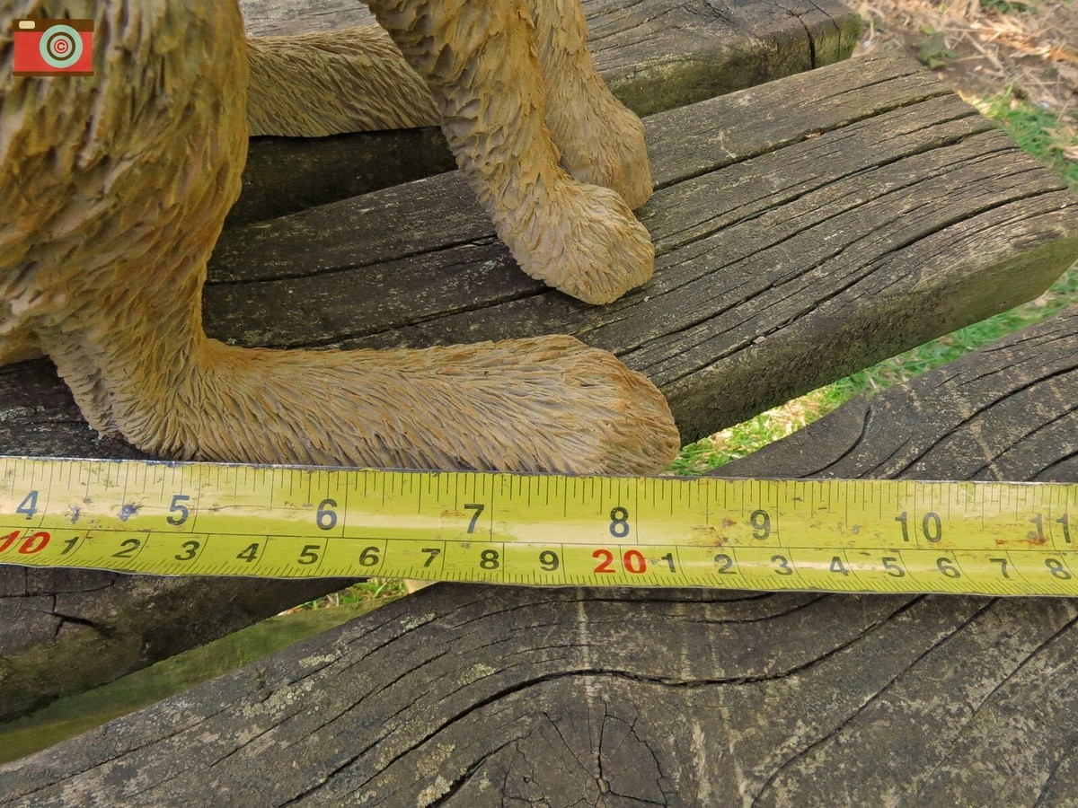 Realistic Moon Gazing Hare Sheet Steel Silhouette In Black Finish | Black Country Metalworks - Foto 8