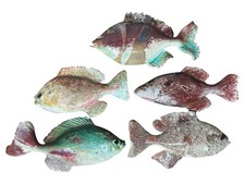 5 Fish Megan Morrissey Raku Art Pottery Fish Figurine Wall Hanger 7- 8 Across