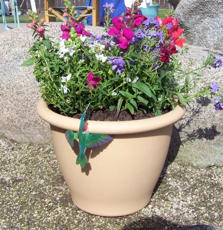 Gancho para maceta colibrí Foto 2 de 3