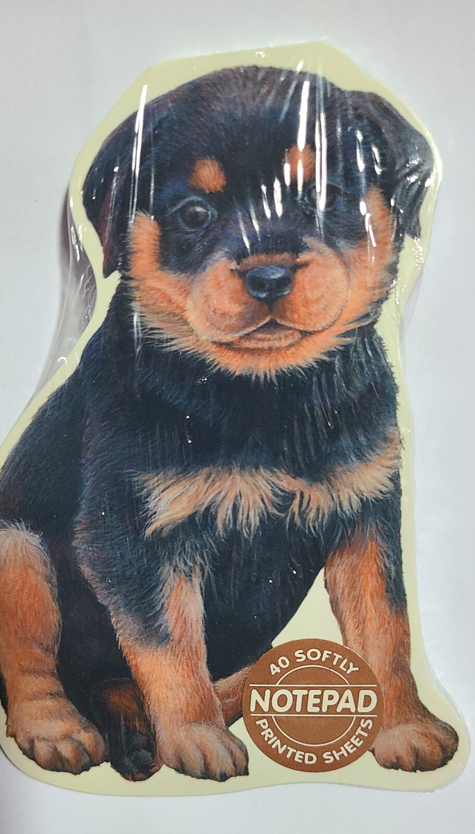 Cape Town Rottweiler Puppies For Sale South East 5