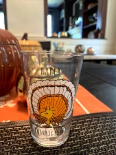 Disney Snoopy Pottery Barn peanuts Holiday party Thanksgiving gift kid SET 2 ,