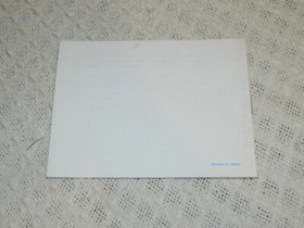 Nintendo NES Paperboy Manual ONLY