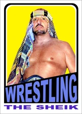 2025 LJACards Stars of 1970s Wrestling Trading Card ACEO Novelty