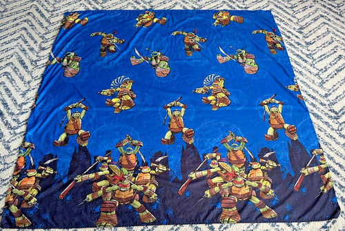 Teenage Mutant Ninja Turtles Shower Curtain 2013 12 Hook 70x72”