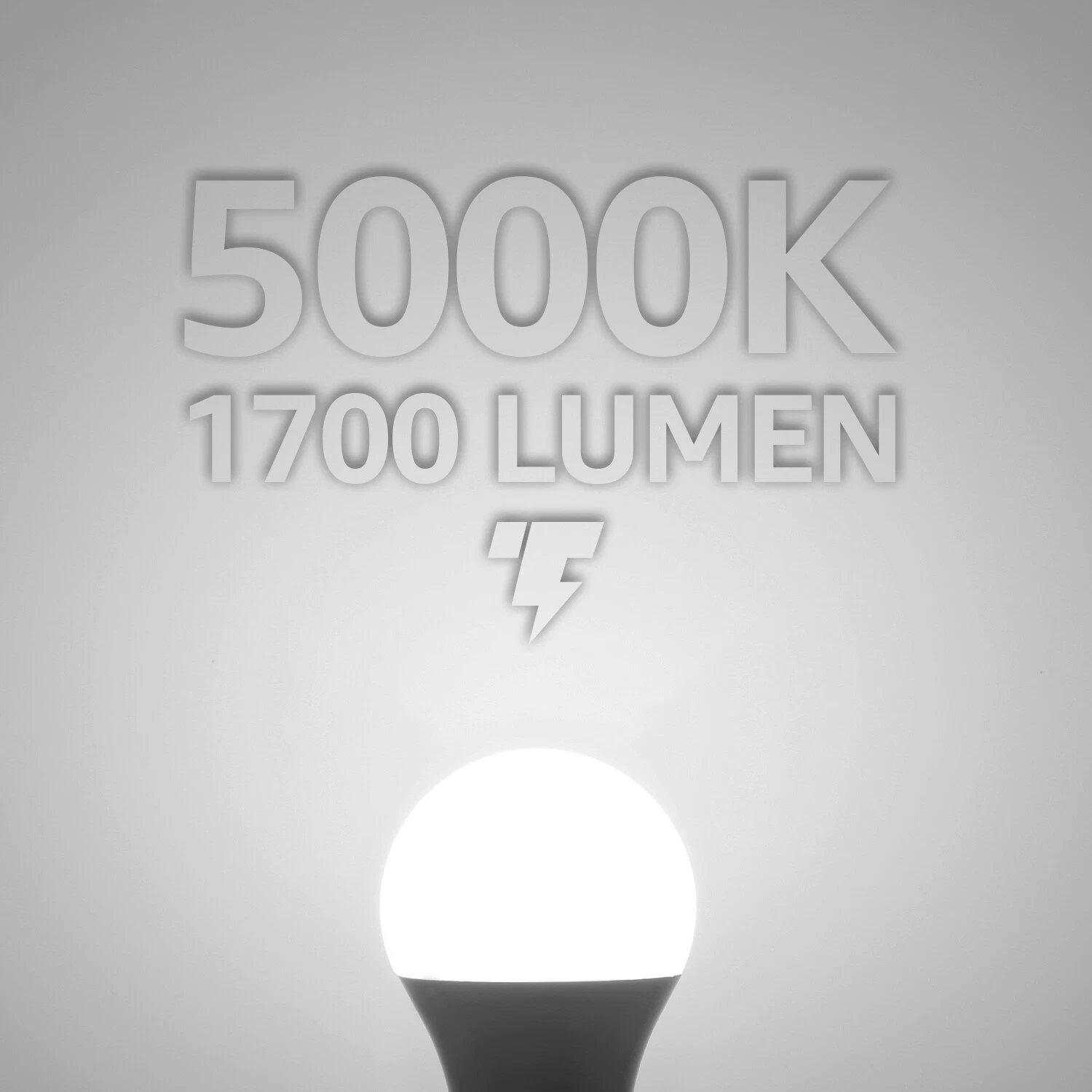 LED Light Bulb