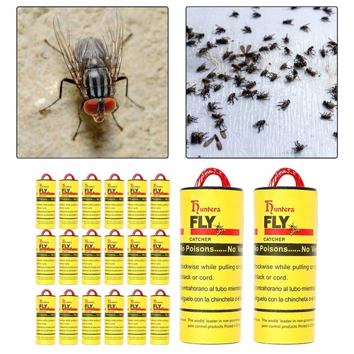 20 Pieces Sticky Fly Catchers Fly Paper Strips for Indoor Garden ...