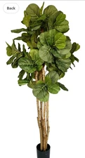 Moss and Bloom 6' Artificial Fiddle Leaf Fig Tree in Plastic Planter