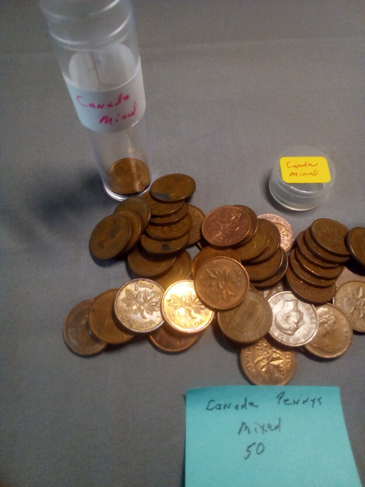 (Lot of 50) Canada small pennies in plastic tube