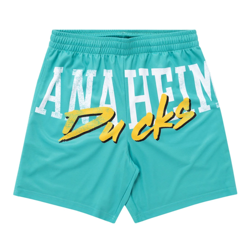 NHL Anaheim Mighty Ducks Men’s Mesh Shorts Size Small (New) - 第 1/5 張圖片