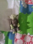 Star Wars Master Yoda Action Figure Original Empire Strikes Back 1980 Vintage