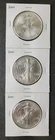 Lot of Three 2001 $1 American Silver Eagle Dollars