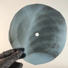 PINK FLOYD BIKE X-Ray USSR Record Roentgen Bone Ribs Music Vinyl