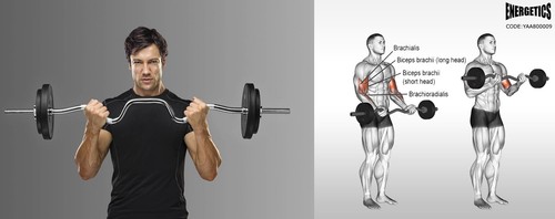 Total 30kg 120cm Super Curl Barbell Weight Set - Double Grip Cement Weight Plate - Picture 4 of 7