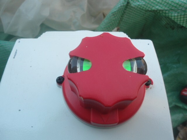 Picture 6 of 6