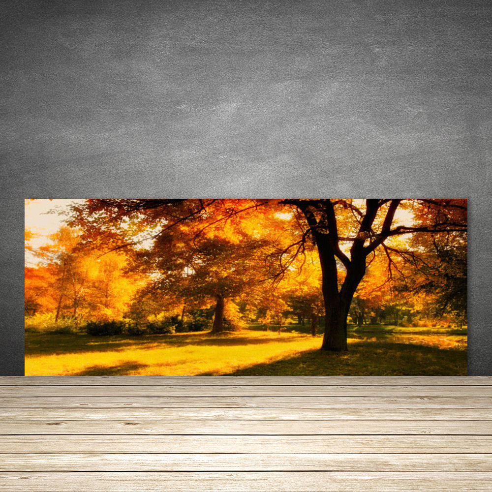 Crédence de cuisine en verre d'arbres 125x50 pour une ambiance nature et zen