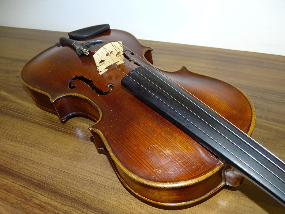 Stainer Violins products for sale | eBay