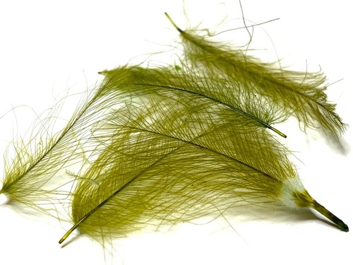 Plumes de CDC(CUL DE CANARD) SACHET DE 40/50 plumes olive